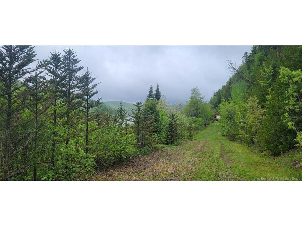 









Vacant lot &


Restigouche River

RD,
Mann Mountain Settlement,







NB
E3N 4X1

