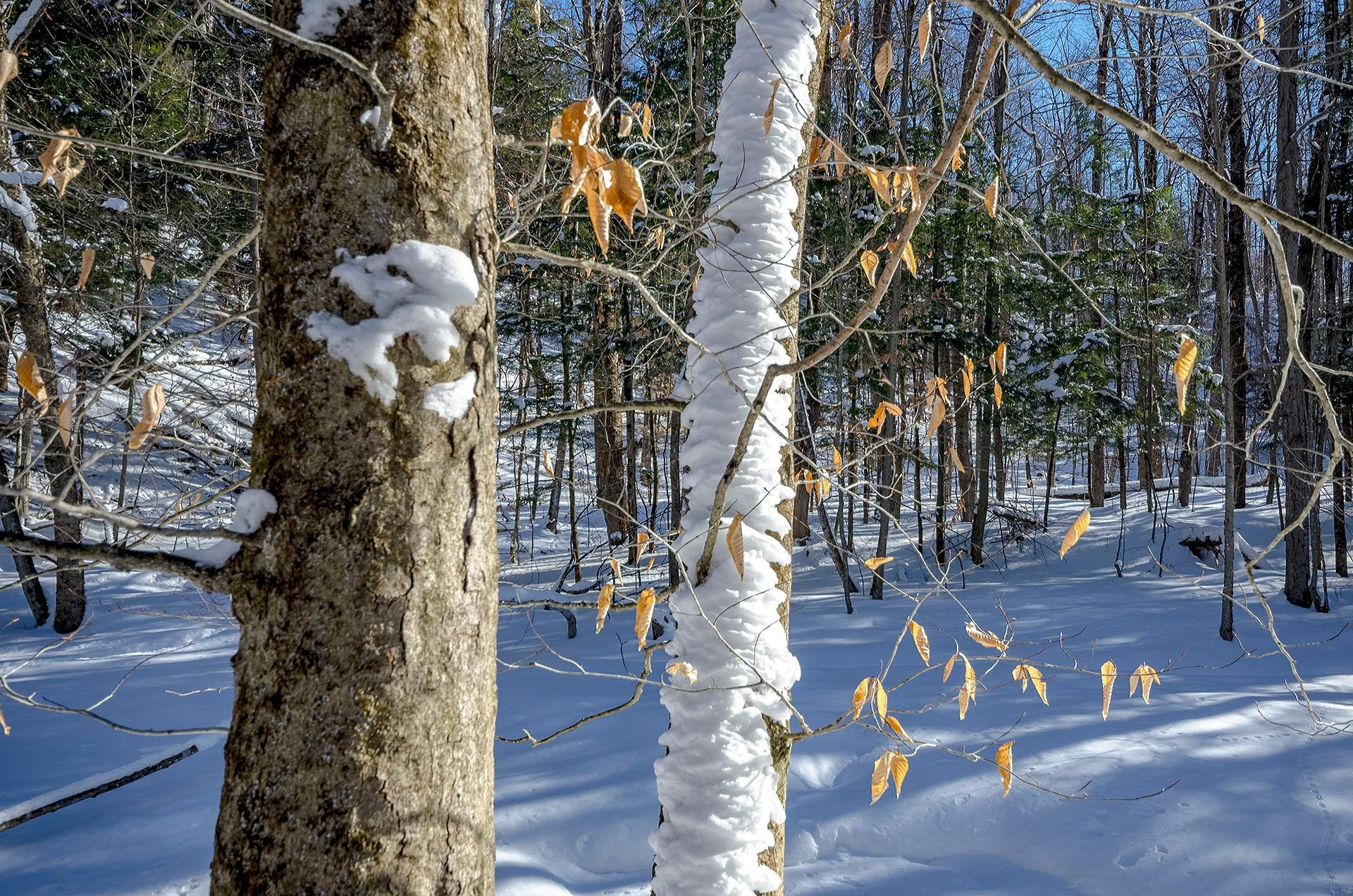 












Ch. Poissant

,
Sutton,







QC
J0E2K0


