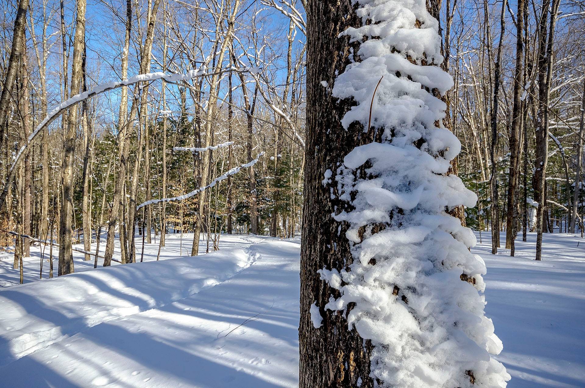 












Ch. Poissant

,
Sutton,







QC
J0E2K0


