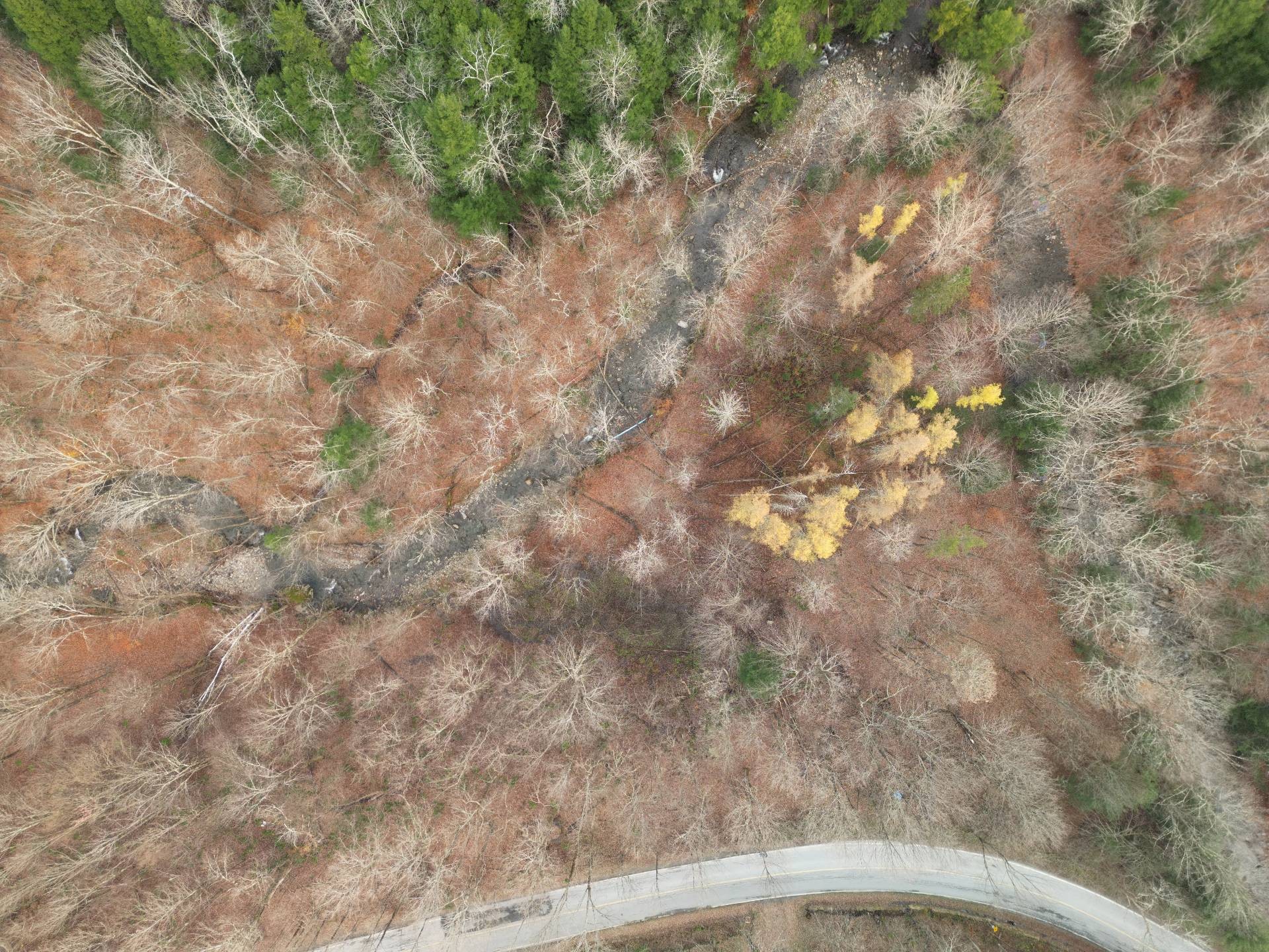 












Ch. Poissant

,
Sutton,







QC
J0E2K0

