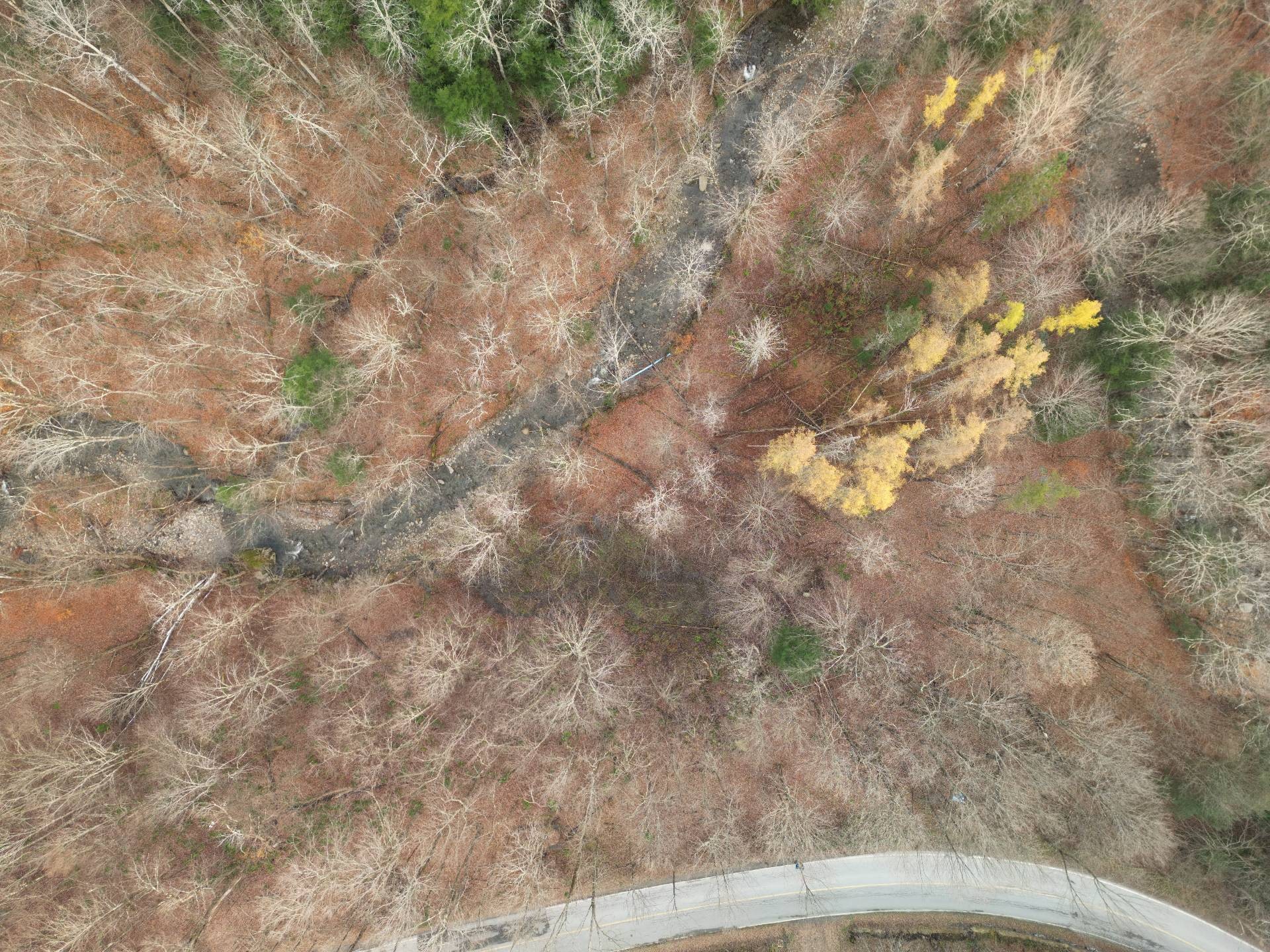 












Ch. Poissant

,
Sutton,







QC
J0E2K0

