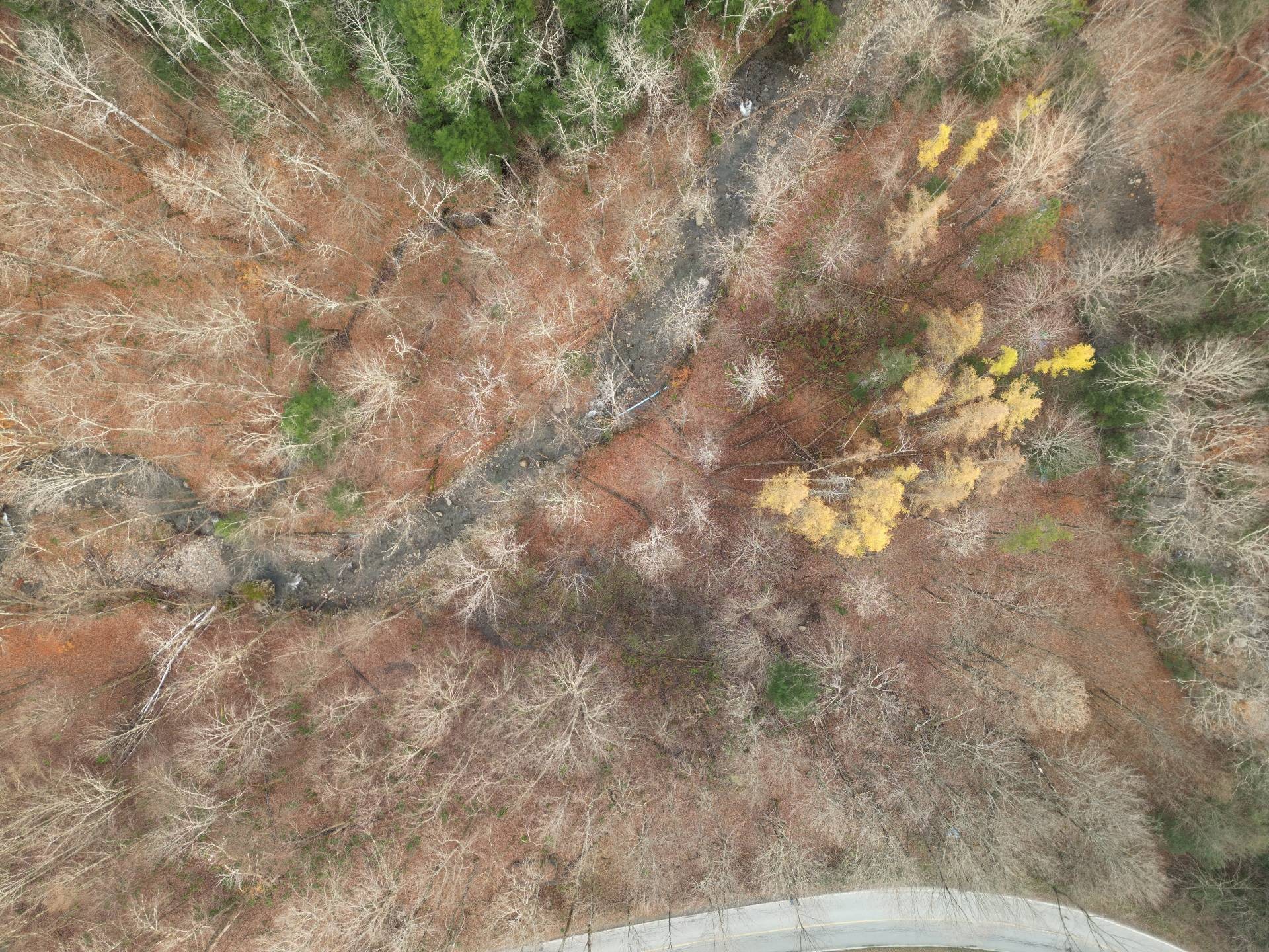 












Ch. Poissant

,
Sutton,







QC
J0E2K0

