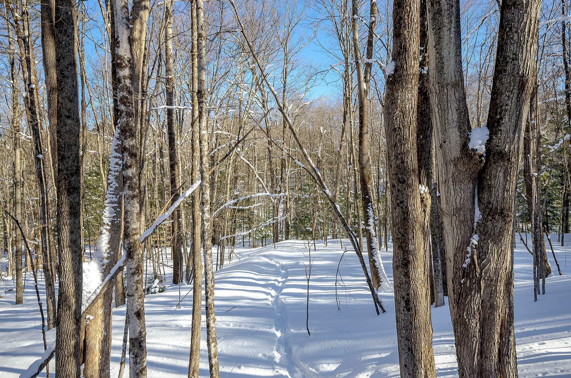 












Ch. Poissant

,
Sutton,







QC
J0E2K0

