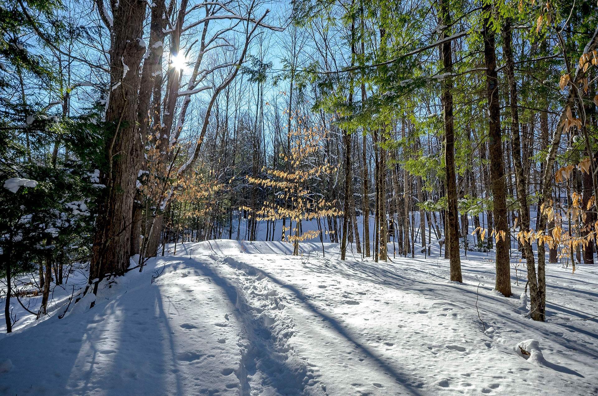












Ch. Poissant

,
Sutton,







QC
J0E2K0

