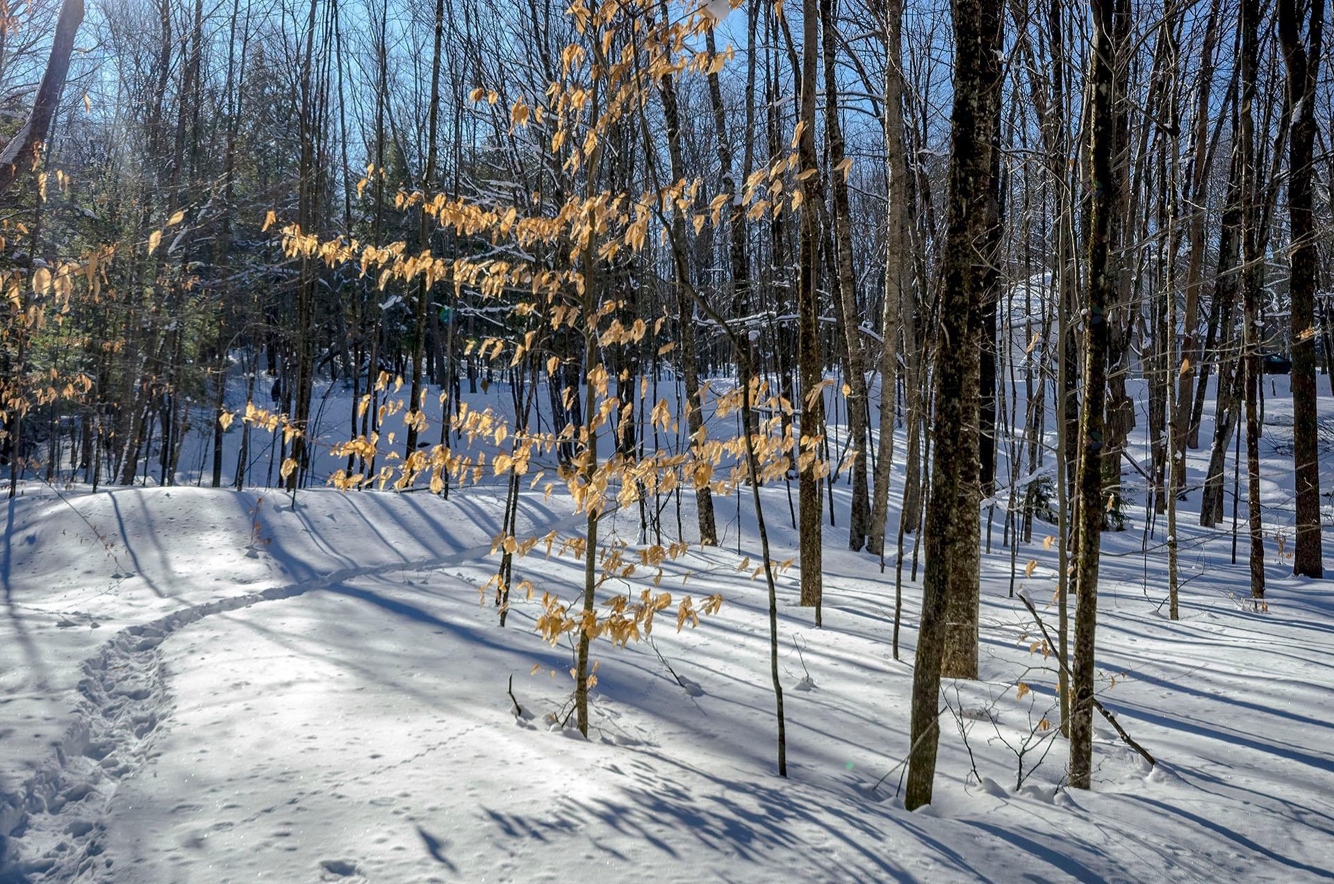 












Ch. Poissant

,
Sutton,







QC
J0E2K0

