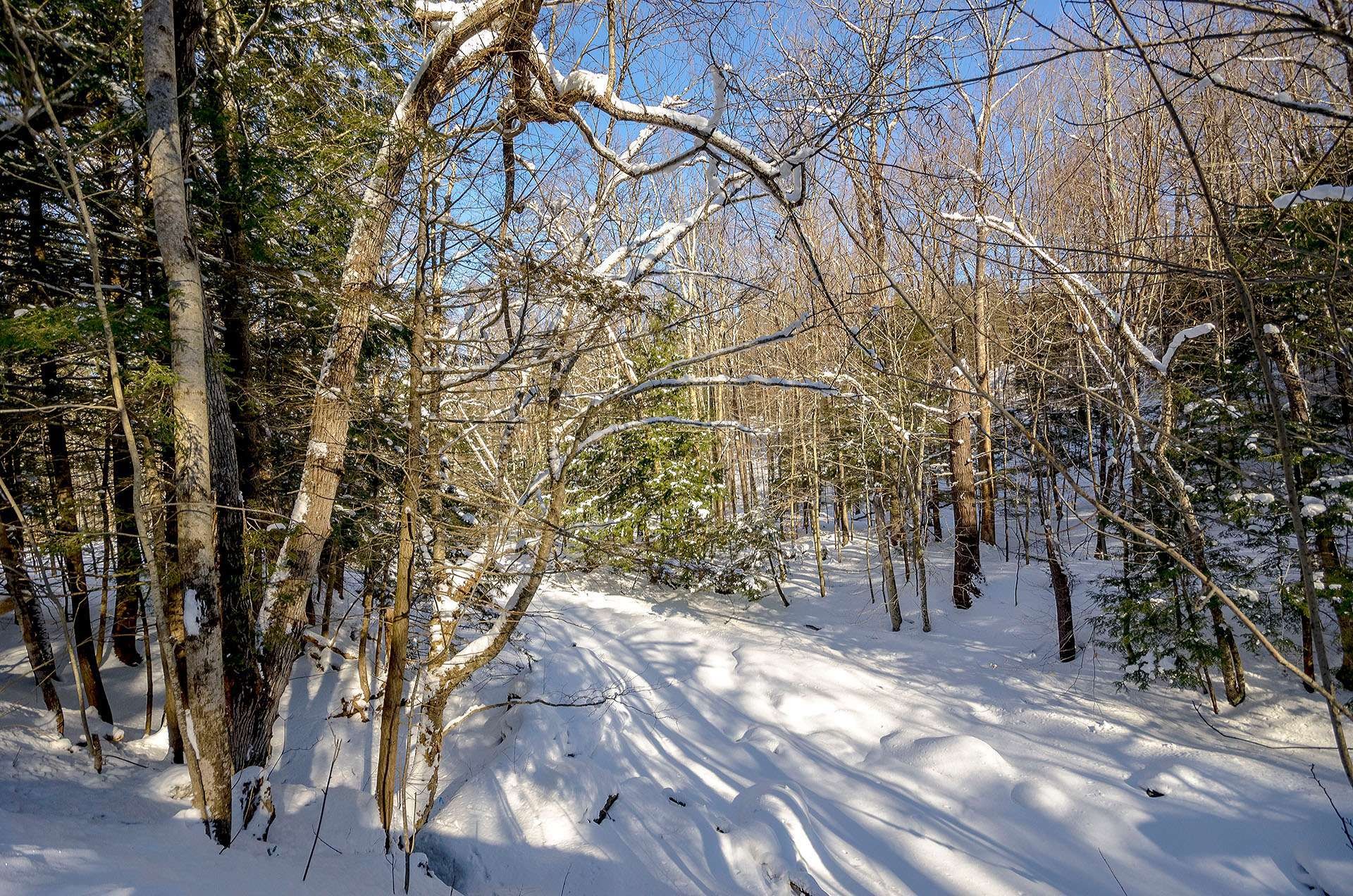 












Ch. Poissant

,
Sutton,







QC
J0E2K0

