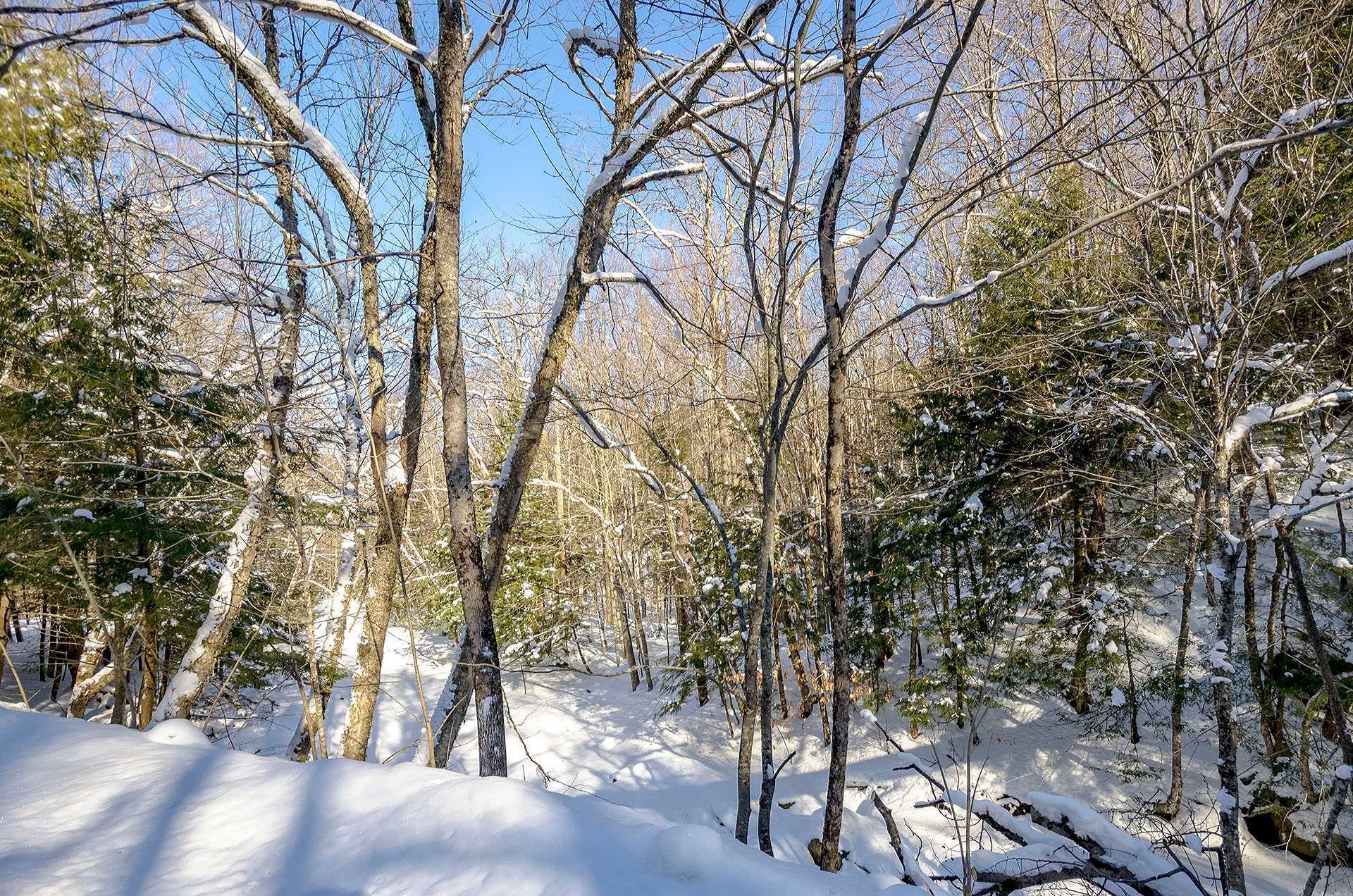 












Ch. Poissant

,
Sutton,







QC
J0E2K0

