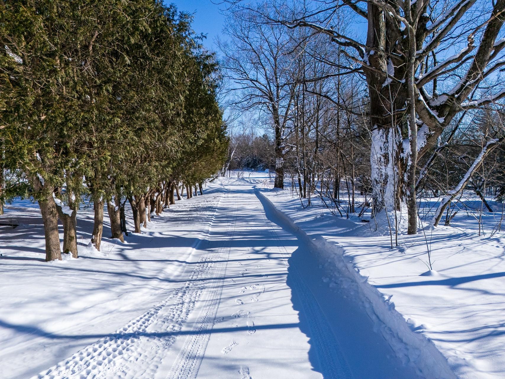 









65


Ch. Papineau

,
Lac-Brome,




QC
J0E1S0

