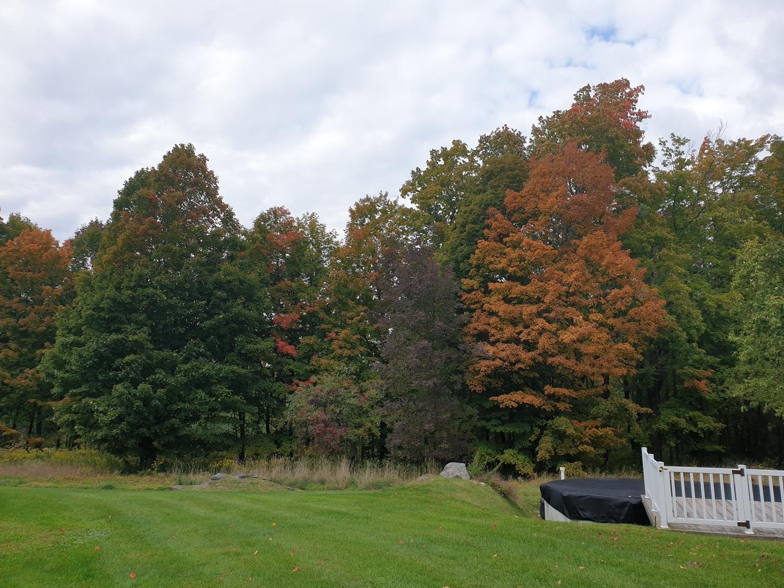 









65


Ch. Papineau

,
Lac-Brome,




QC
J0E1S0

