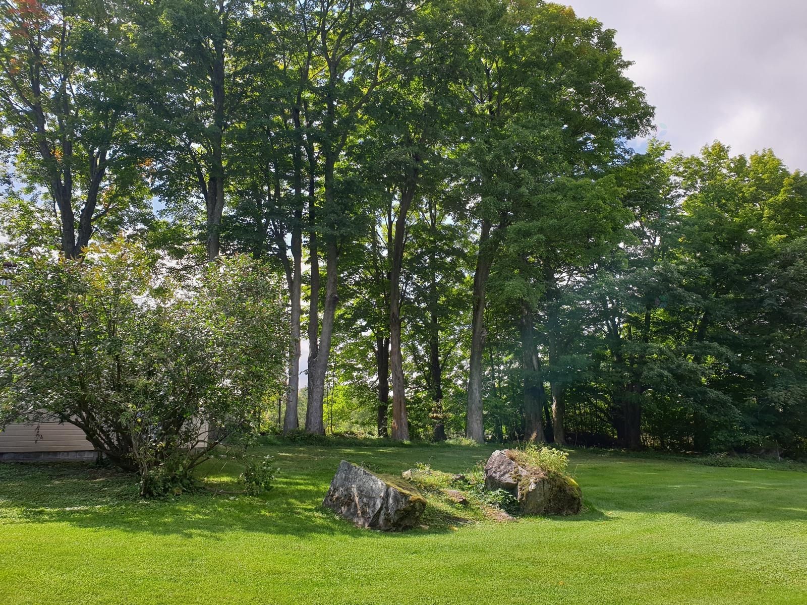 









65


Ch. Papineau

,
Lac-Brome,




QC
J0E1S0

