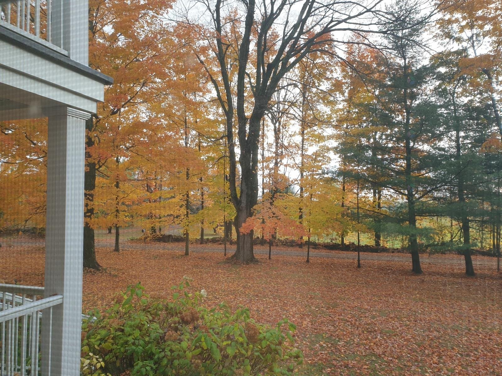 









65


Ch. Papineau

,
Lac-Brome,




QC
J0E1S0

