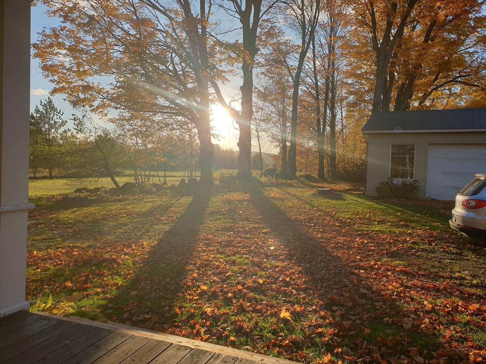 









65


Ch. Papineau

,
Lac-Brome,




QC
J0E1S0

