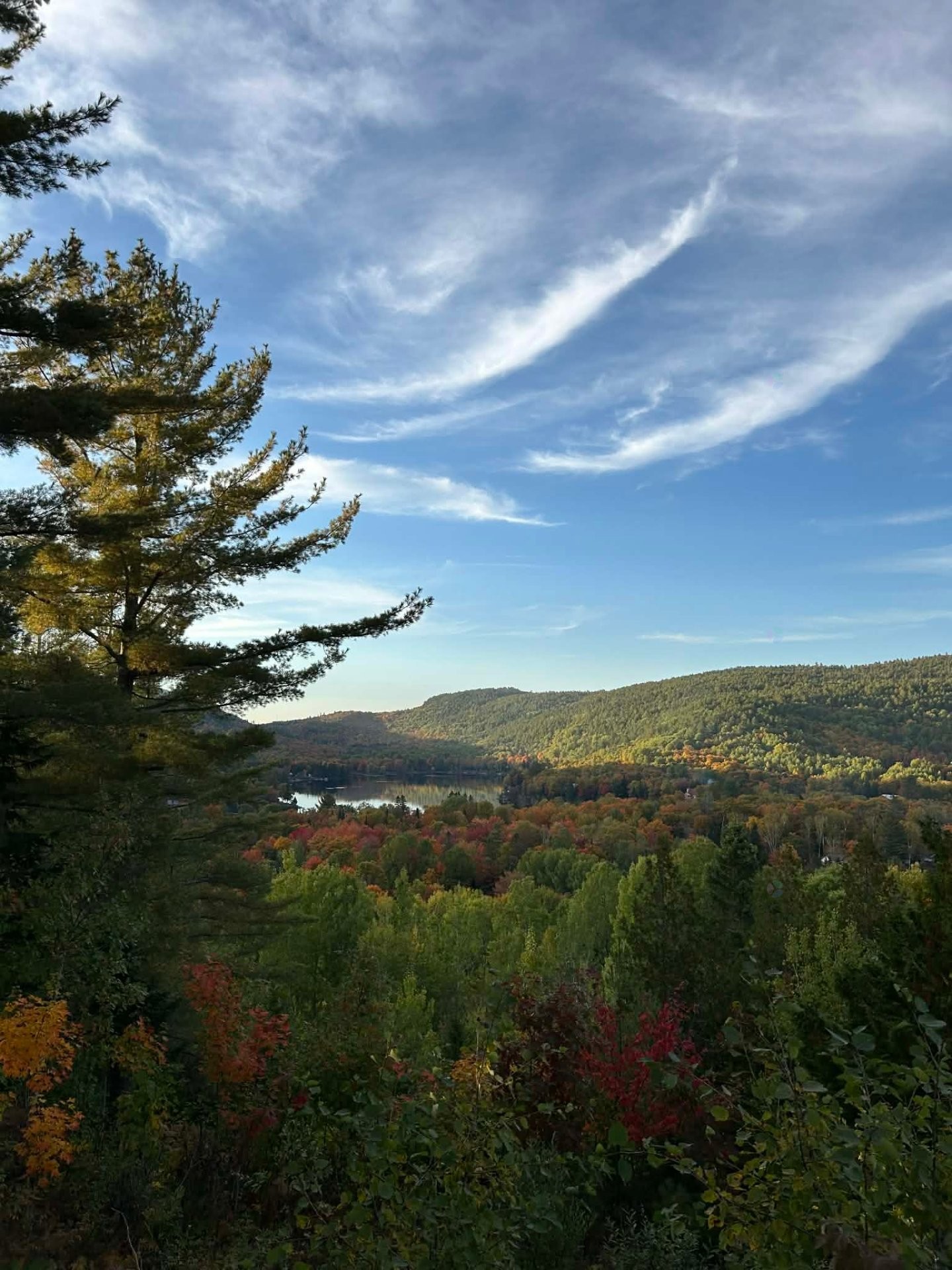 









60


Ch. de la Côte-à-Menick

,
Mandeville,




QC
J0K1L0


