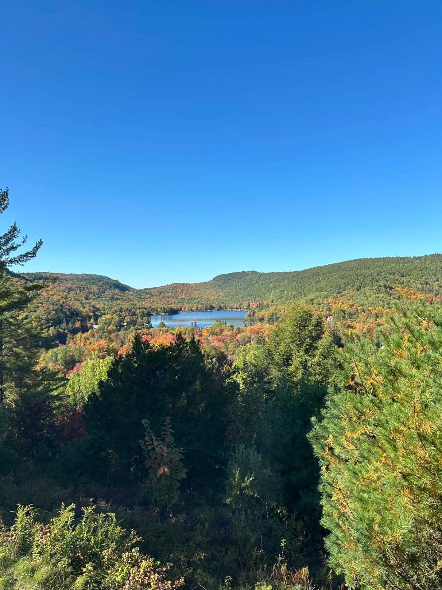 









60


Ch. de la Côte-à-Menick

,
Mandeville,




QC
J0K1L0

