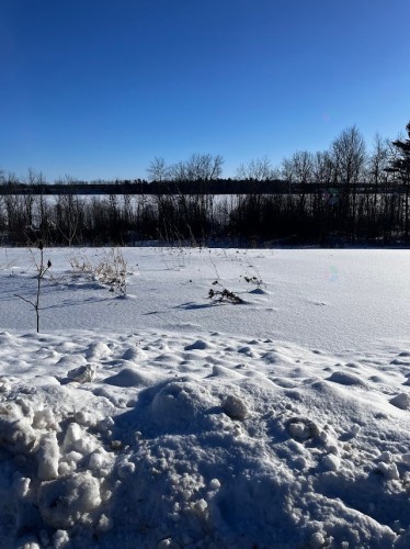 Photo de l'inscription vedette 