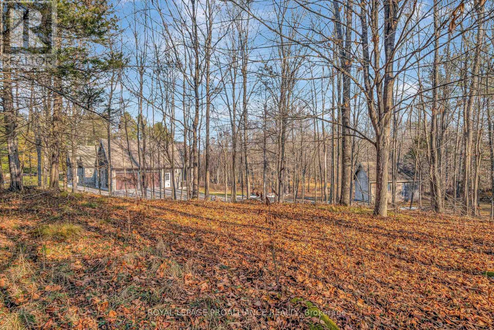 












510 MONEYMORE ROAD

,
Tweed (Hungerford (Twp)),




Ontario
K0K2Y0

