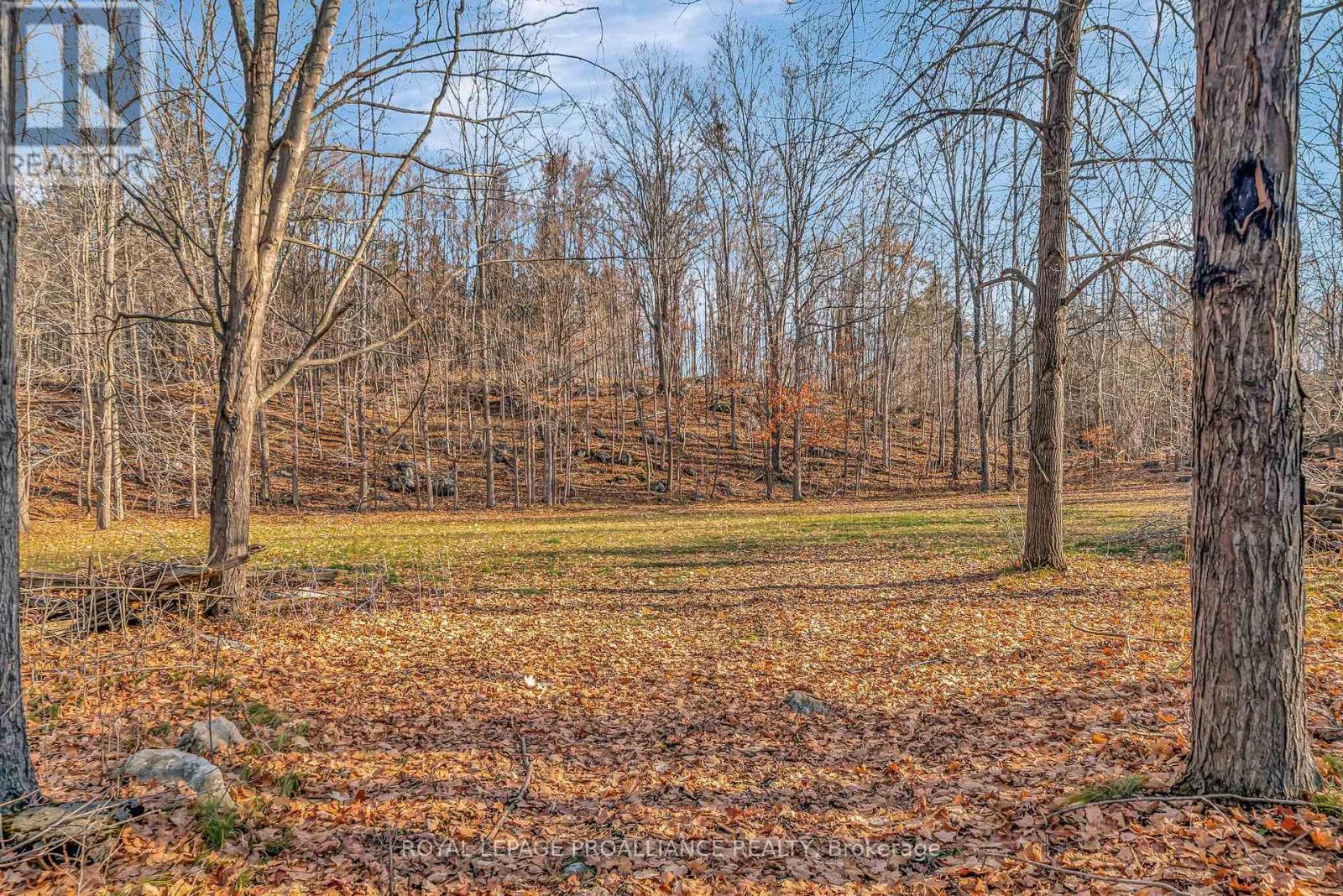 












510 MONEYMORE ROAD

,
Tweed (Hungerford (Twp)),




Ontario
K0K2Y0

