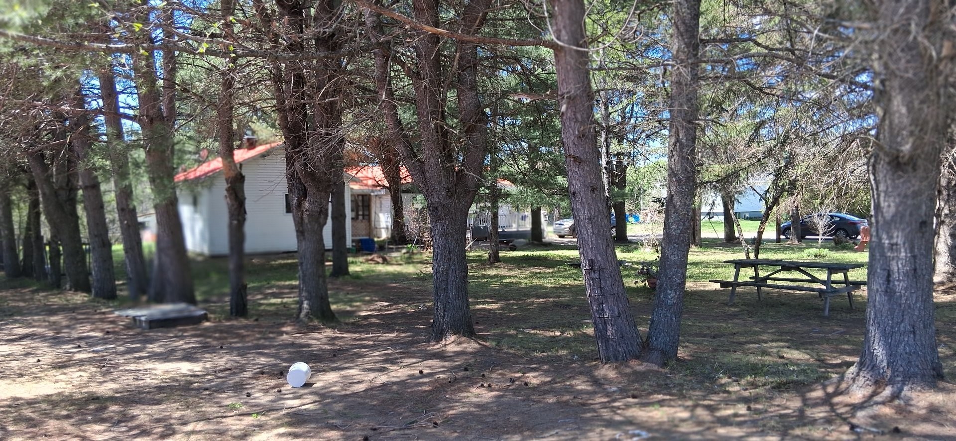 









8


Ch. Cora

,
Grand-Remous,




QC
J0W1E0

