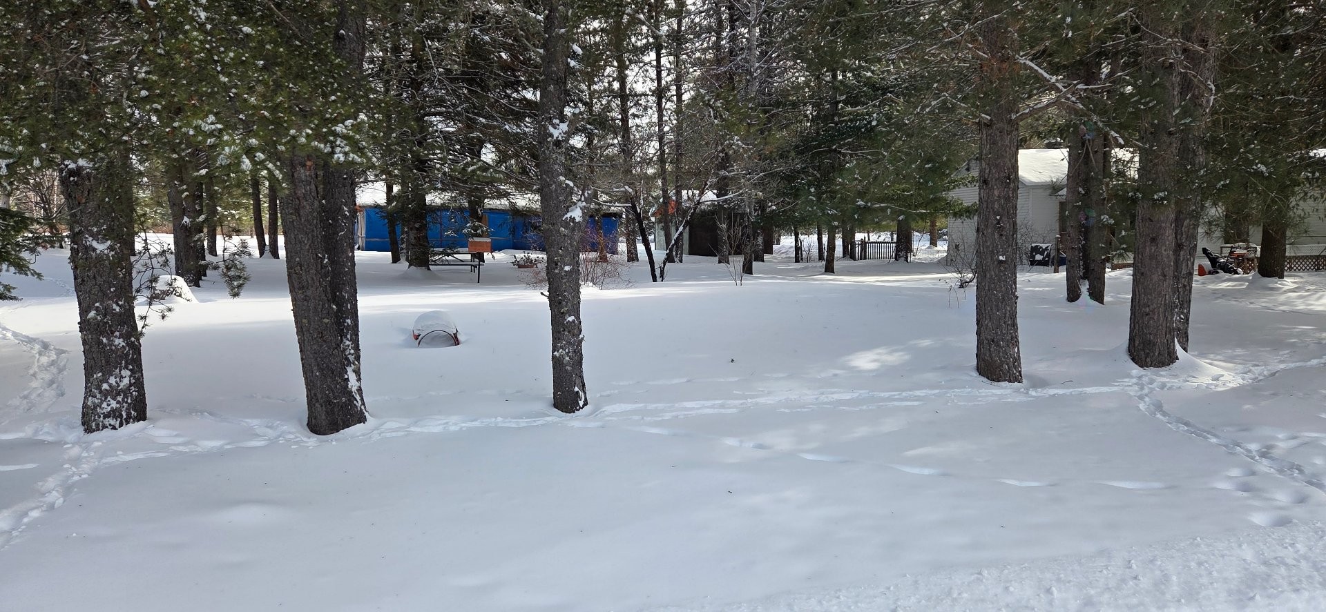 









8


Ch. Cora

,
Grand-Remous,




QC
J0W1E0

