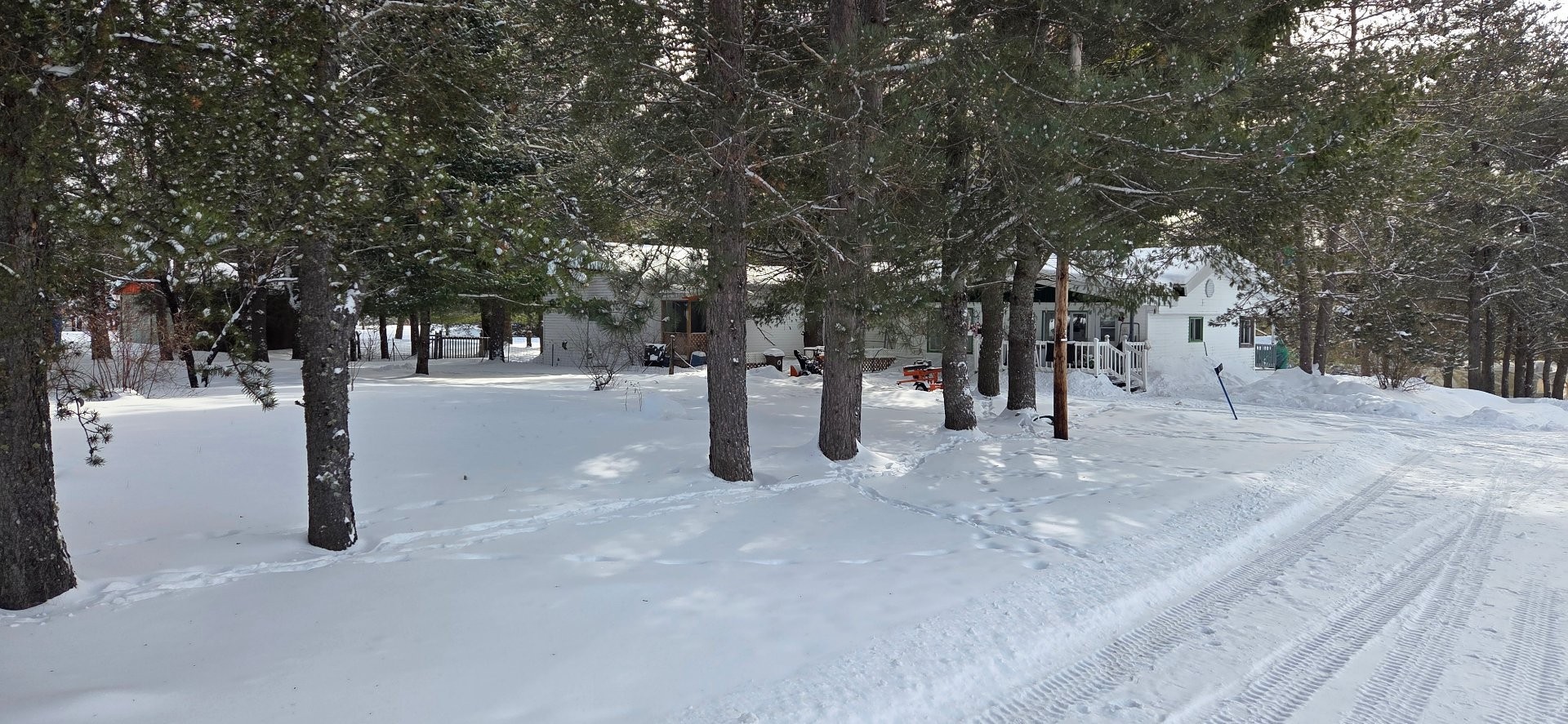 









8


Ch. Cora

,
Grand-Remous,




QC
J0W1E0

