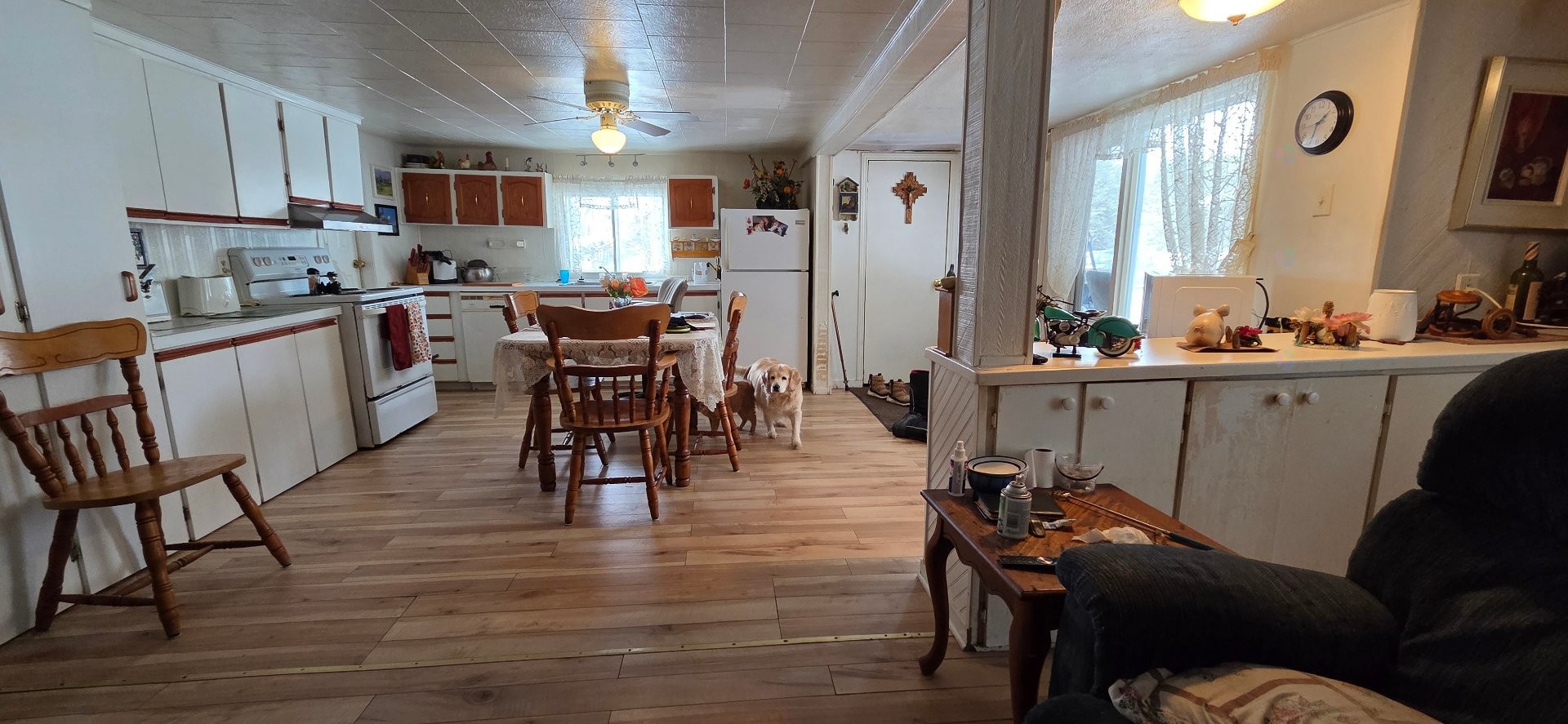 









8


Ch. Cora

,
Grand-Remous,




QC
J0W1E0

