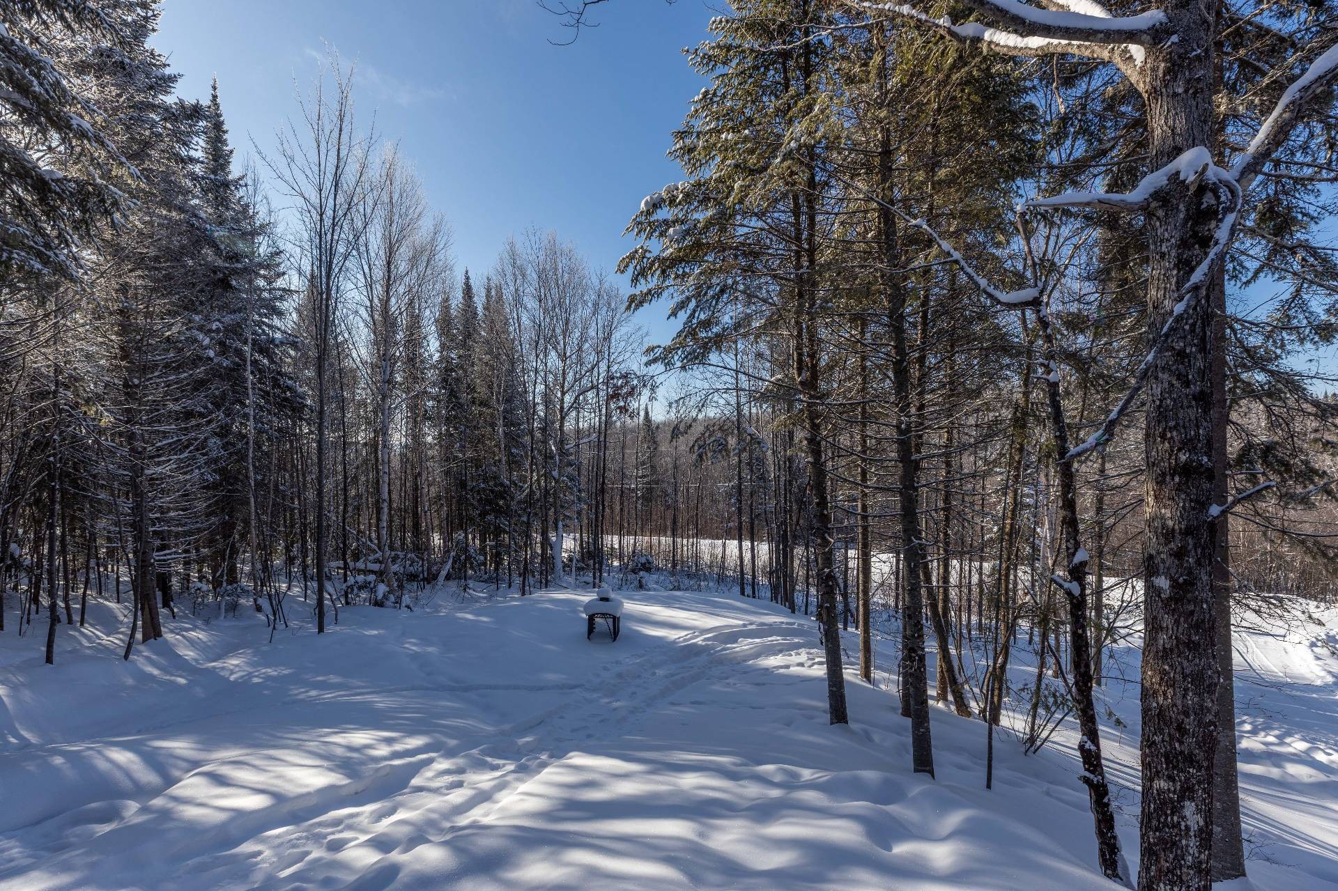 









240


Ch. des Grands-Ducs

,
Saint-Michel-des-Saints,




QC
J0K3B0

