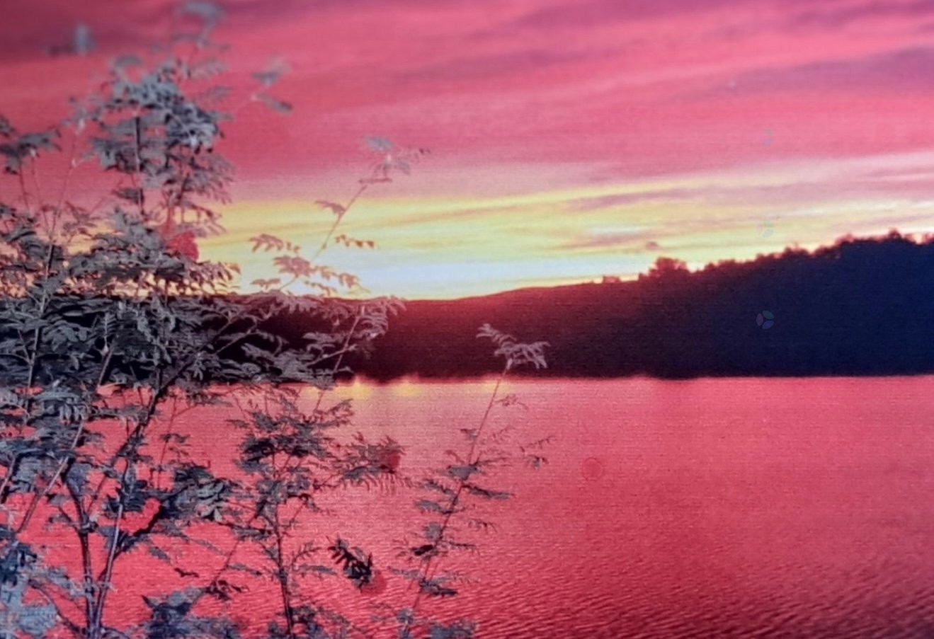 









11


Rue Karine

,
Saint-Jean-de-Matha,




QC
J0K2S0

