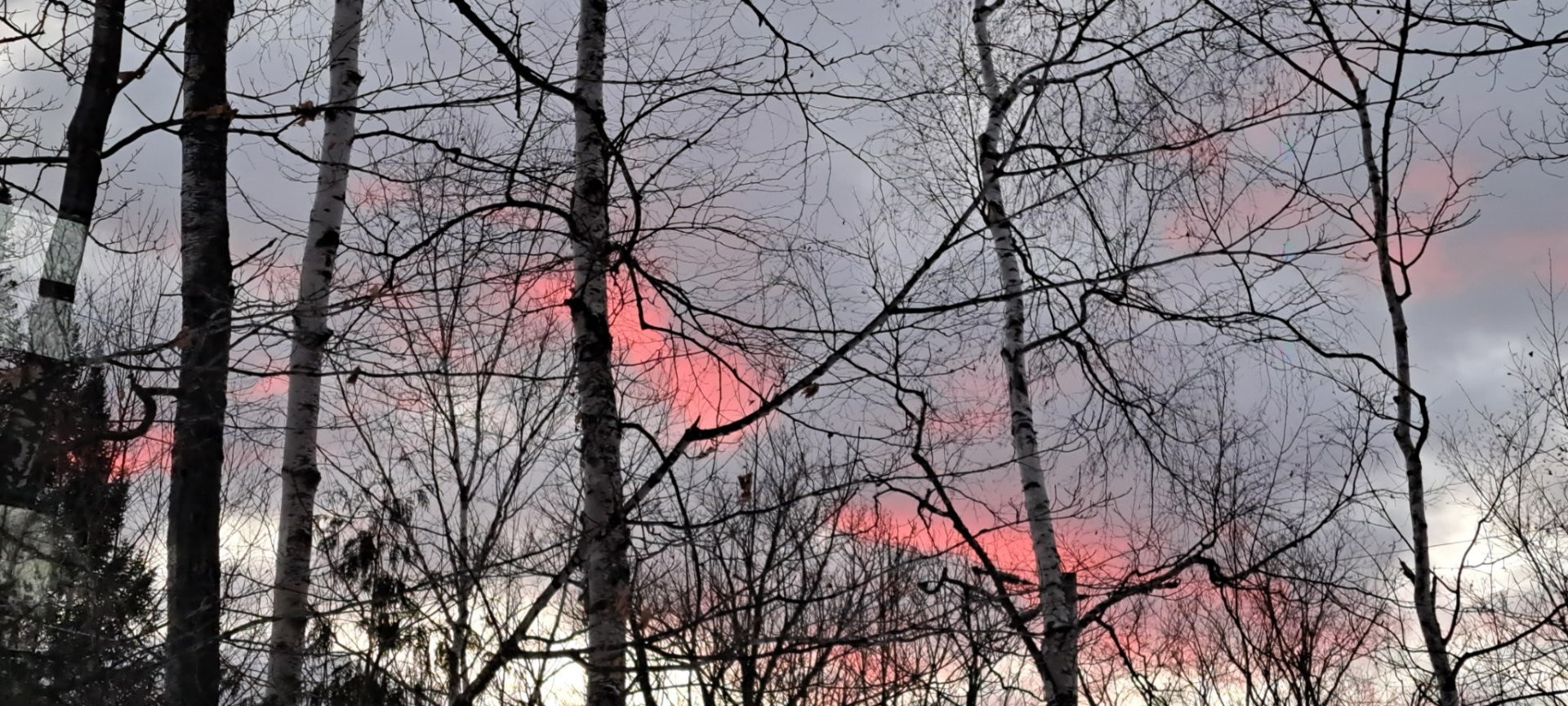 









11


Rue Karine

,
Saint-Jean-de-Matha,




QC
J0K2S0

