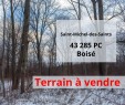 Terre/Terrain
