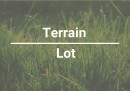 Terre/Terrain
