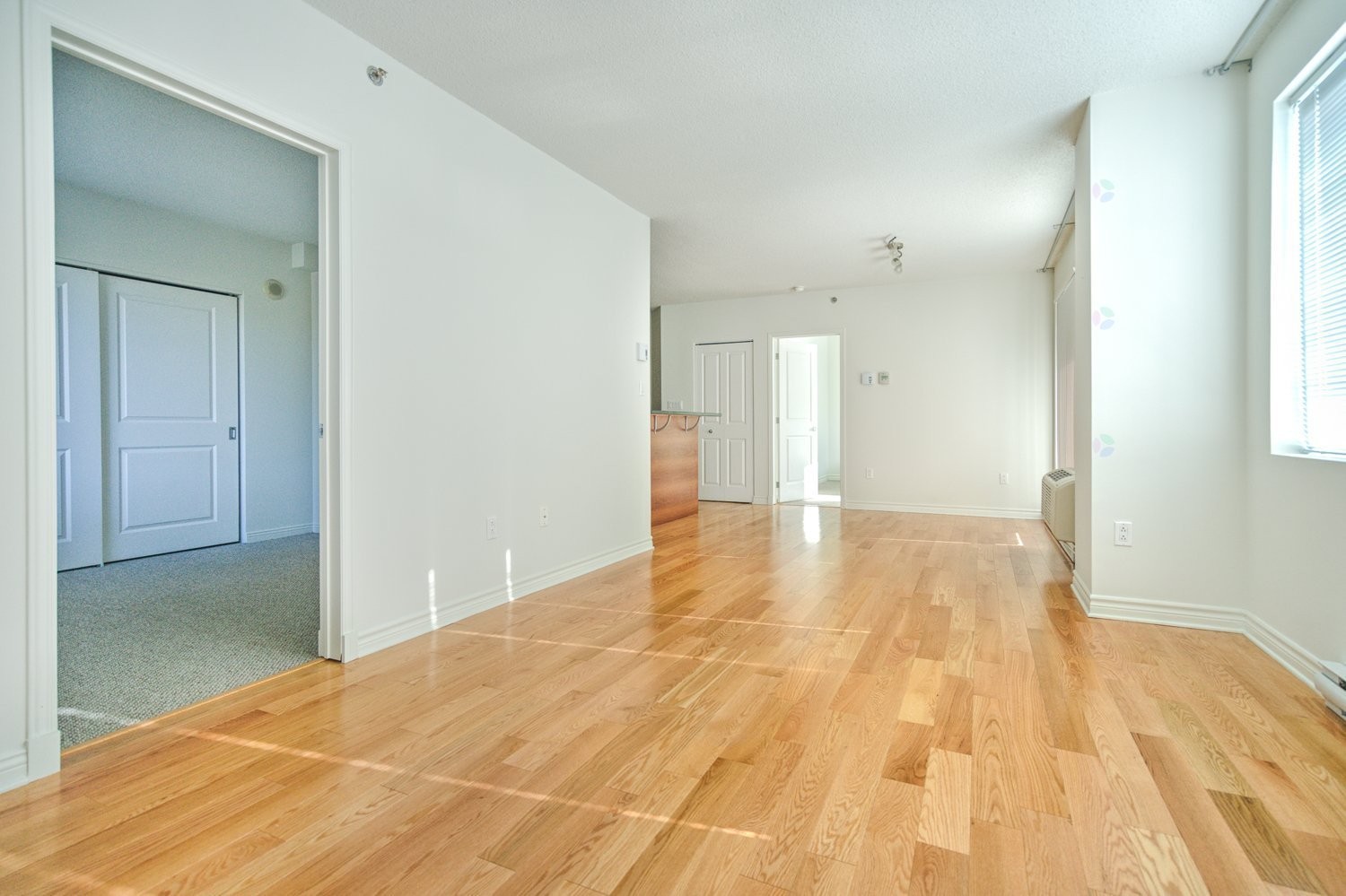 









651


Rue de la Montagne

, 502,
Montréal (Ville-Marie),




QC
H3C0G3

