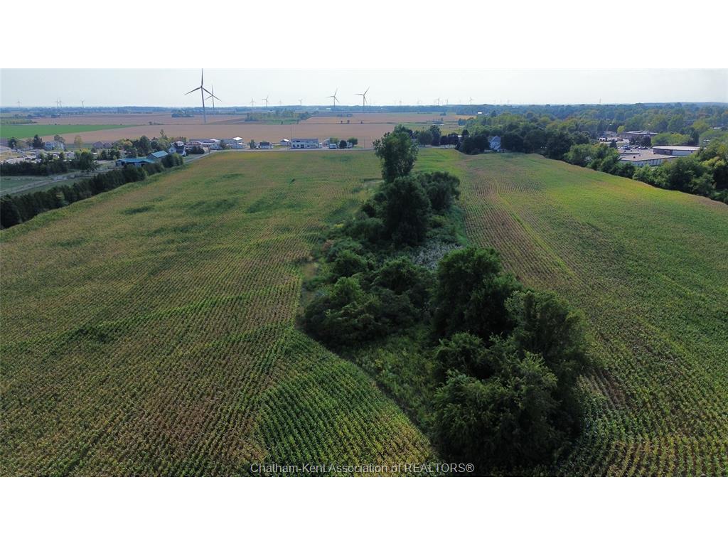 









247


Chatham

Street South,
Blenheim,







ON
N0P 1A0

