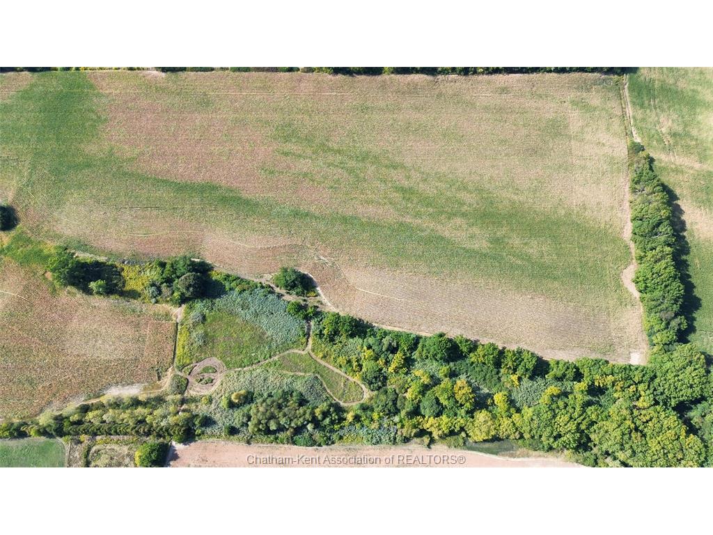 









247


Chatham

Street South,
Blenheim,







ON
N0P 1A0

