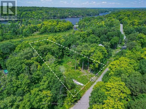 Welcome to 17 Cornflower