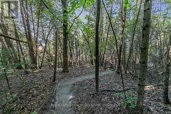 Stairway to Beach Heaven
