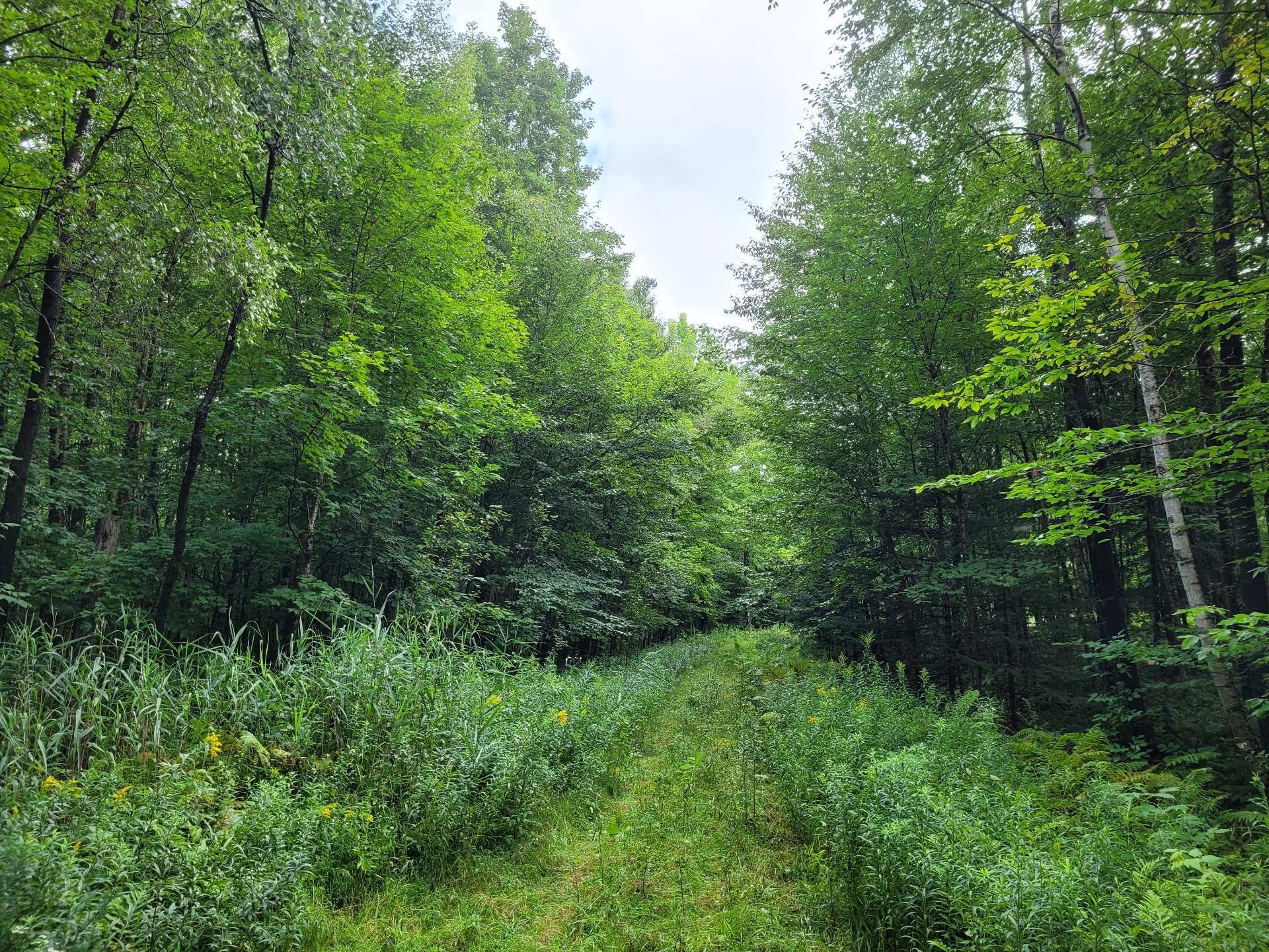 












Ch. des Libellules

,
Eastman,







QC
J0E1P0

