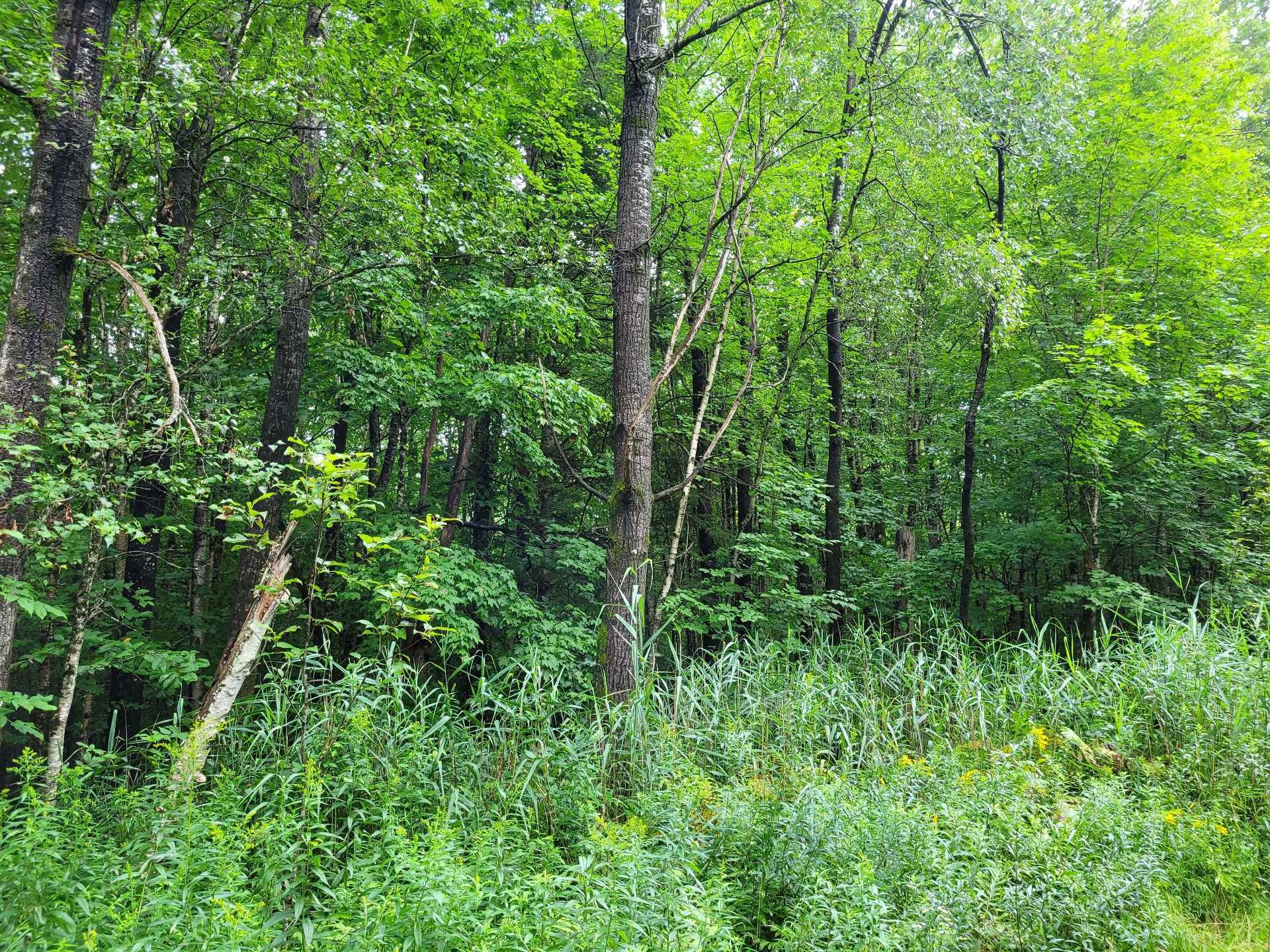 












Ch. des Libellules

,
Eastman,







QC
J0E1P0

