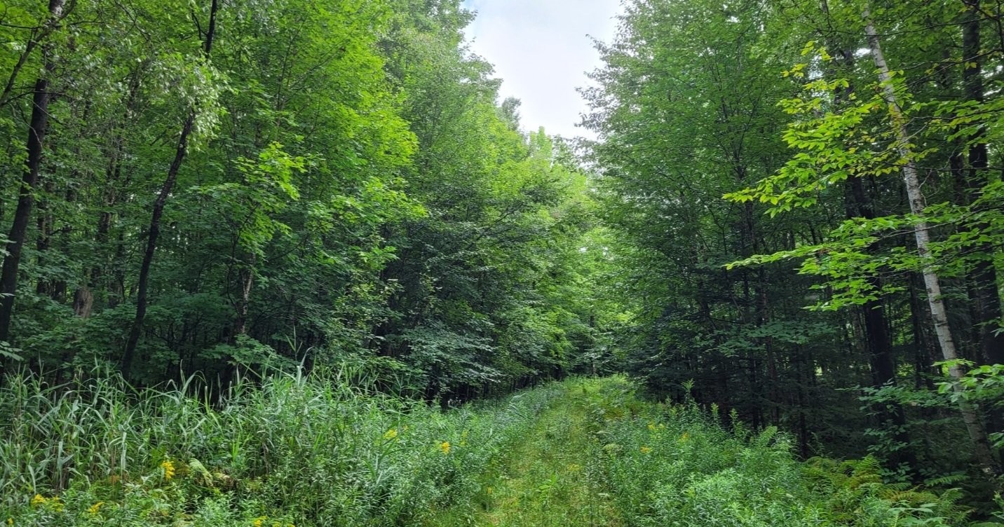 












Ch. des Libellules

,
Eastman,







QC
J0E1P0

