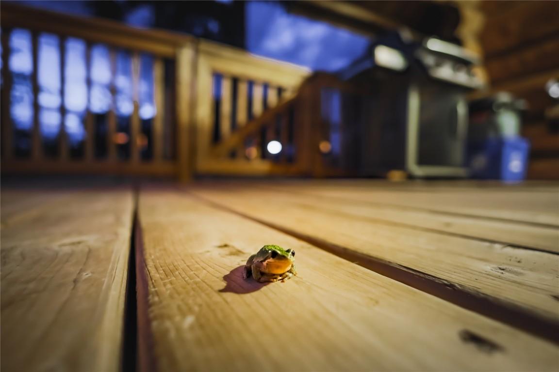 









Cabin 10


Hatheume Lake Lodge

,
Peachland,




BC
V1V 1V1

