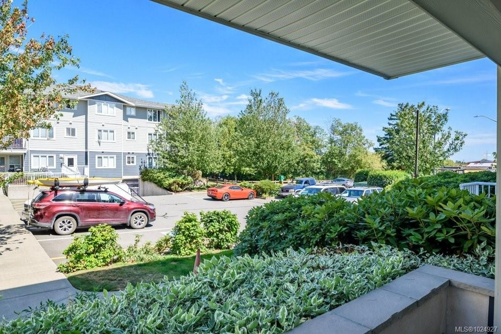 









119


20th

St, 14,
Courtenay,




BC
V9N 8B1

