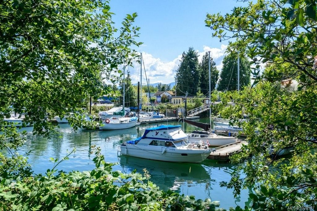 









119


20th

St, 14,
Courtenay,




BC
V9N 8B1

