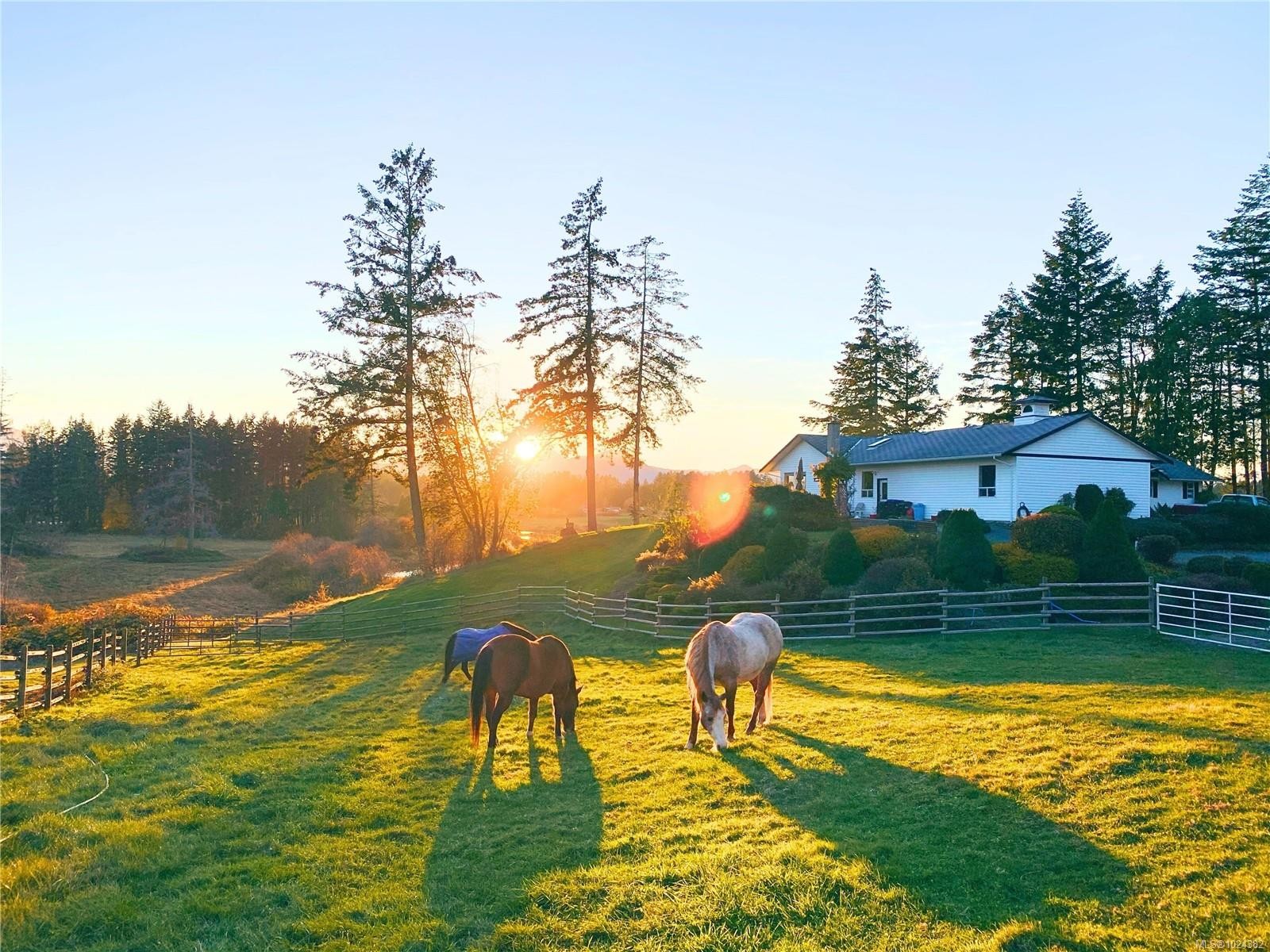 









2551


Braun

Rd,
Nanaimo,




BC
V9X 1W5

