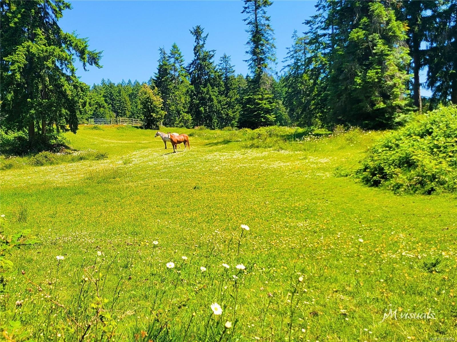 









2551


Braun

Rd,
Nanaimo,




BC
V9X 1W5

