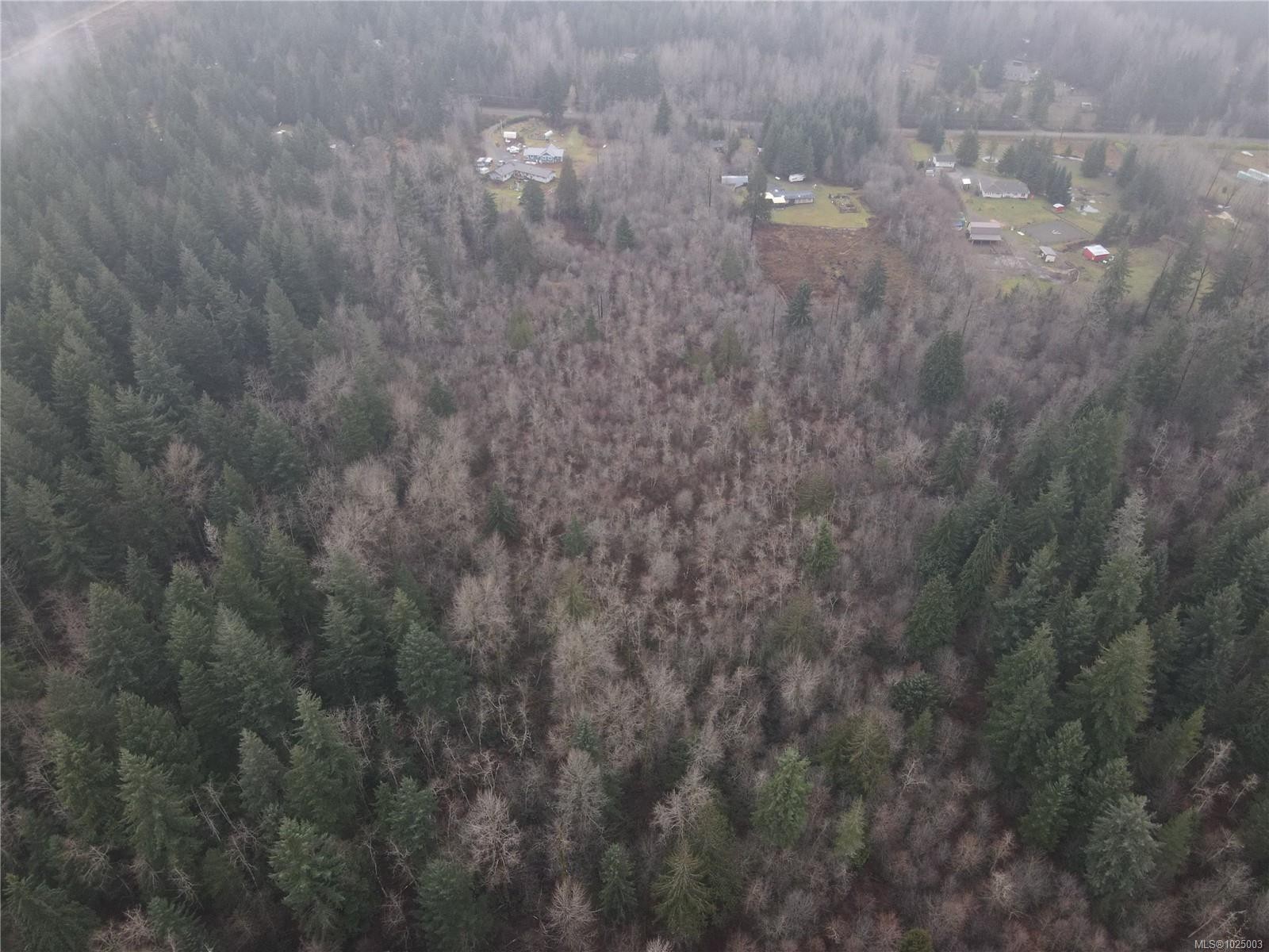 









Lot 2


Doyle

Rd,
Black Creek,







BC
V6C 3A6

