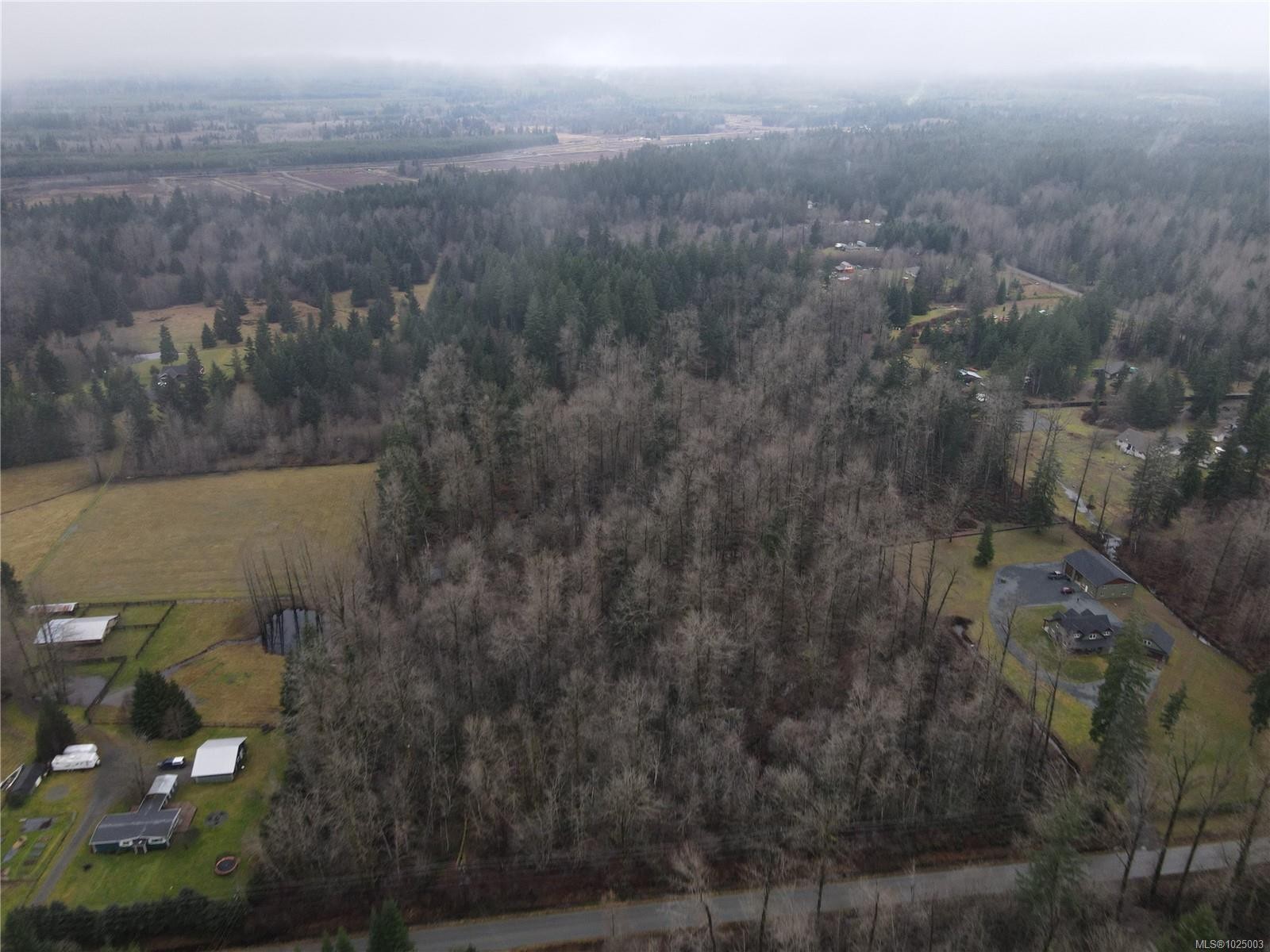 









Lot 2


Doyle

Rd,
Black Creek,







BC
V6C 3A6

