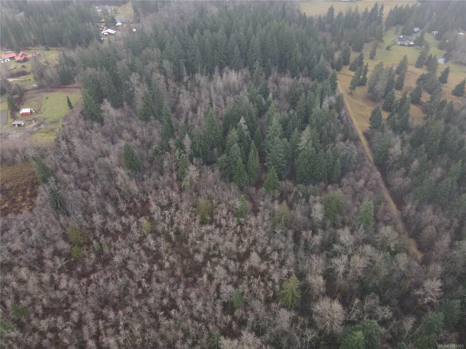 









Lot 2


Doyle

Rd,
Black Creek,







BC
V6C 3A6

