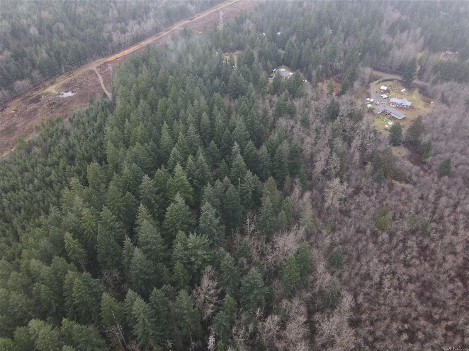 









Lot 2


Doyle

Rd,
Black Creek,







BC
V6C 3A6

