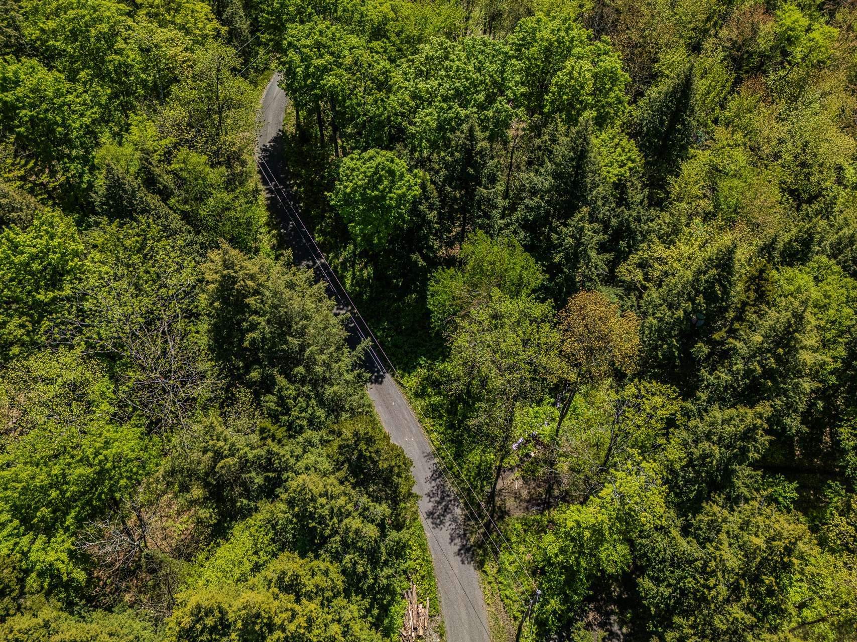 









199


Ch. du Mont-Écho

,
Lac-Brome,




QC
J0E1V0

