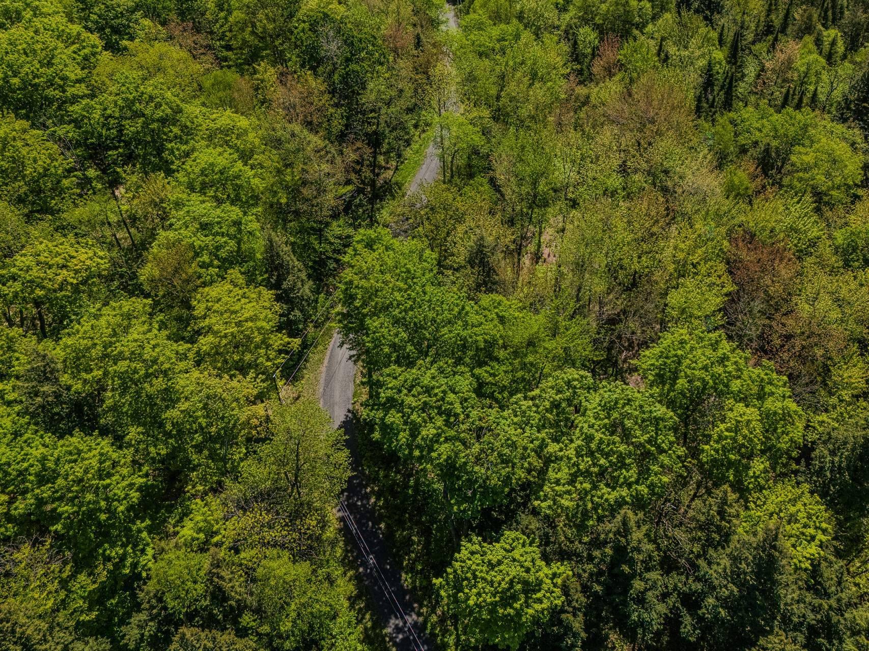 









199


Ch. du Mont-Écho

,
Lac-Brome,




QC
J0E1V0

