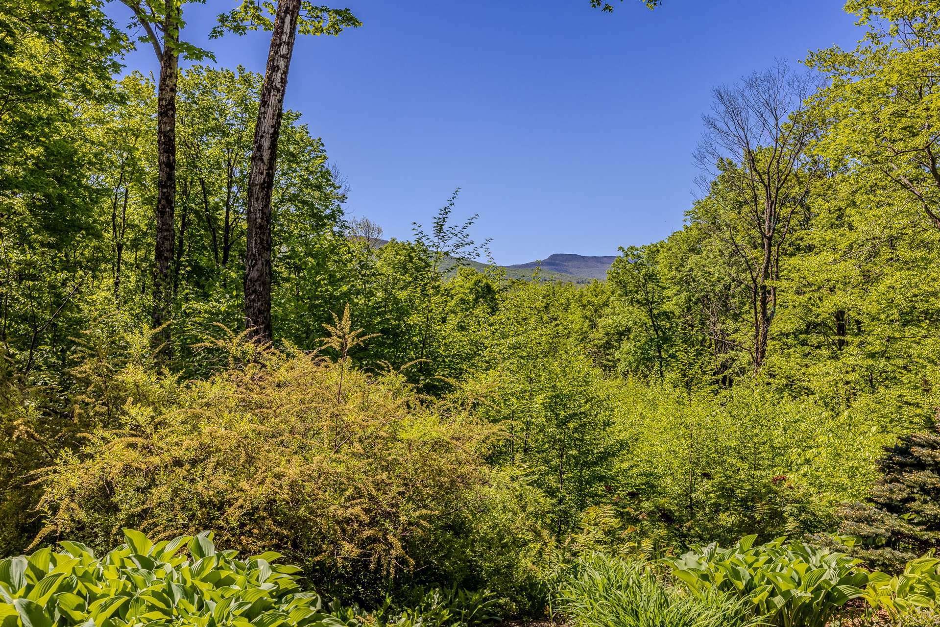 









199


Ch. du Mont-Écho

,
Lac-Brome,




QC
J0E1V0

